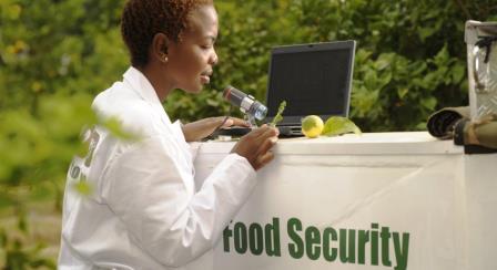 Food Security 3